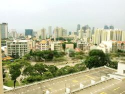 Blk 12 Farrer Park View (Kallang/Whampoa), HDB 3 Rooms #408160901